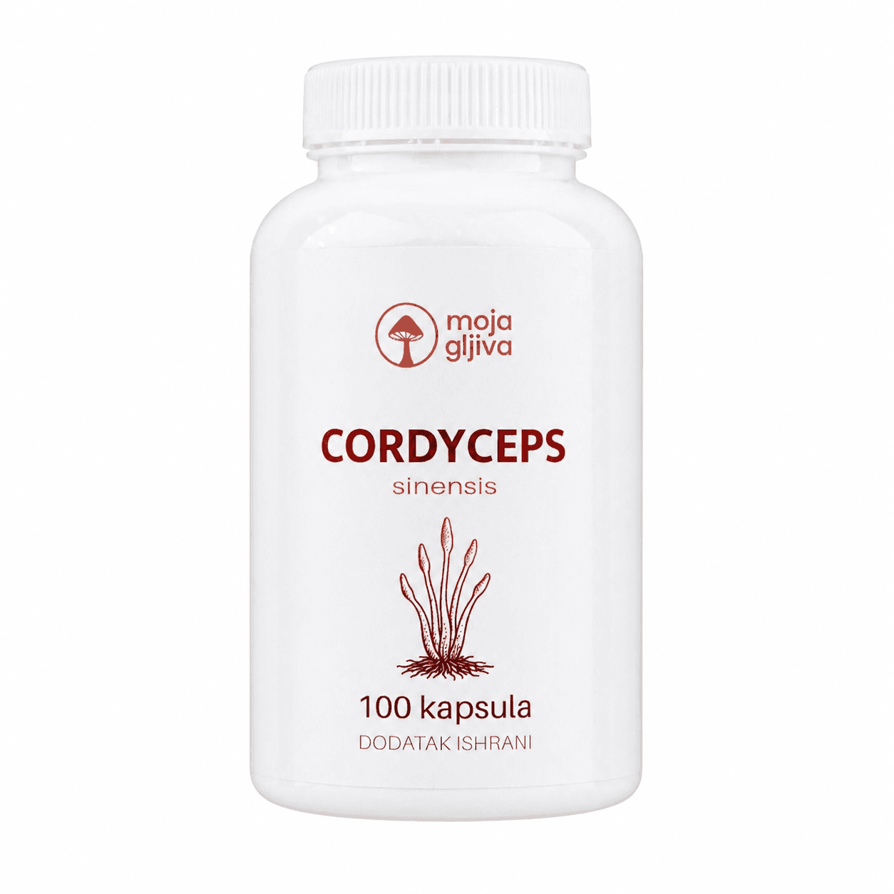 Cordyceps sinesis kapsule 100 komada Zdravlje