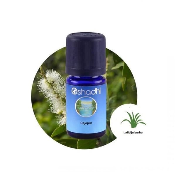 Oshadhi Eterično ulje KAJEPUT 10ml